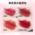 High Quality Bullet lipstick bulk